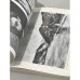 Дополнительное изображение книги «Monumenta Judaica. Handbuch und Katalog (2 Bände)»