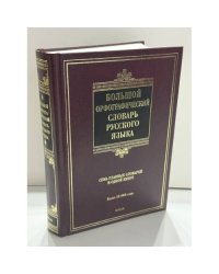 Большой орфографический словарь русского языка