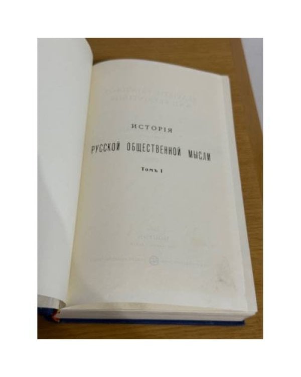 История русской общественной мысли. Индивидуализм и мещанство в русской литературе и жизни XIX в. Том I
