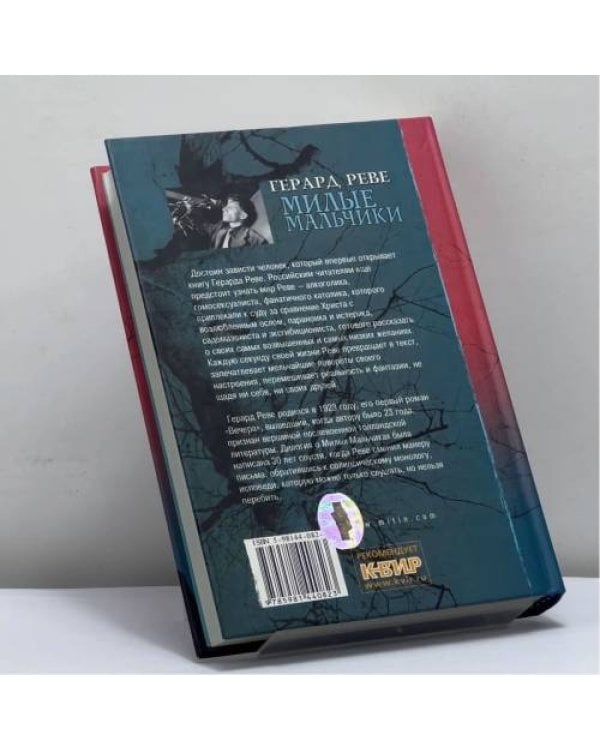 Дополнительное изображение книги «Язык любви. Милые мальчики»