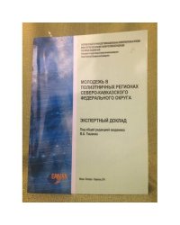 Молодежь в полиэтнических регионах Северо-Кавказского федерального округа