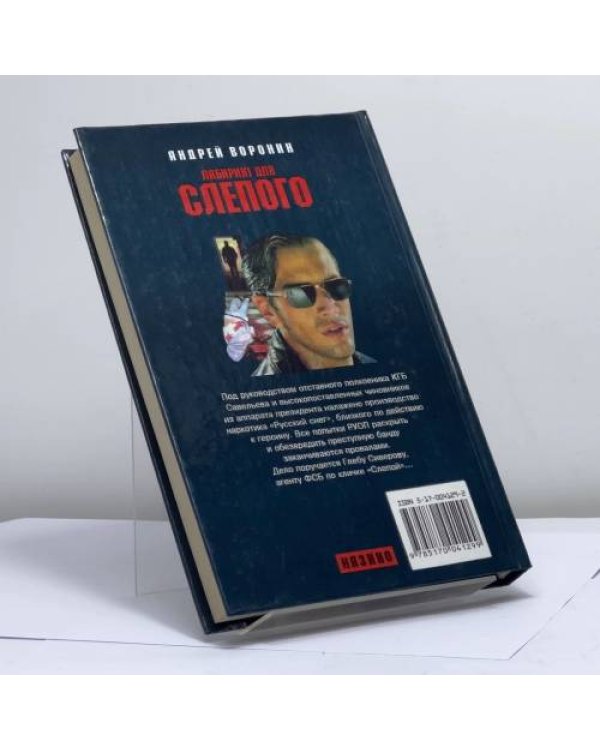 Дополнительное изображение книги «Лабиринт для Слепого»
