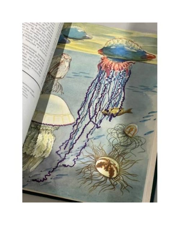 Дополнительное изображение книги «Жизнь животных в 6 томах. Первое издание (том 1)»