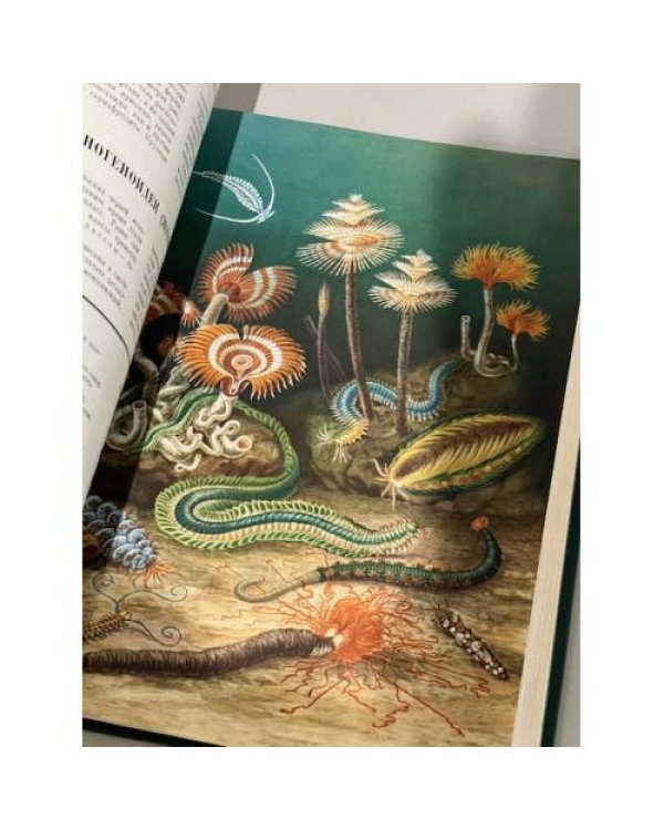 Дополнительное изображение книги «Жизнь животных в 6 томах. Первое издание (том 1)»