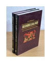 Аки молния в день дождя. В 2 книгах. 