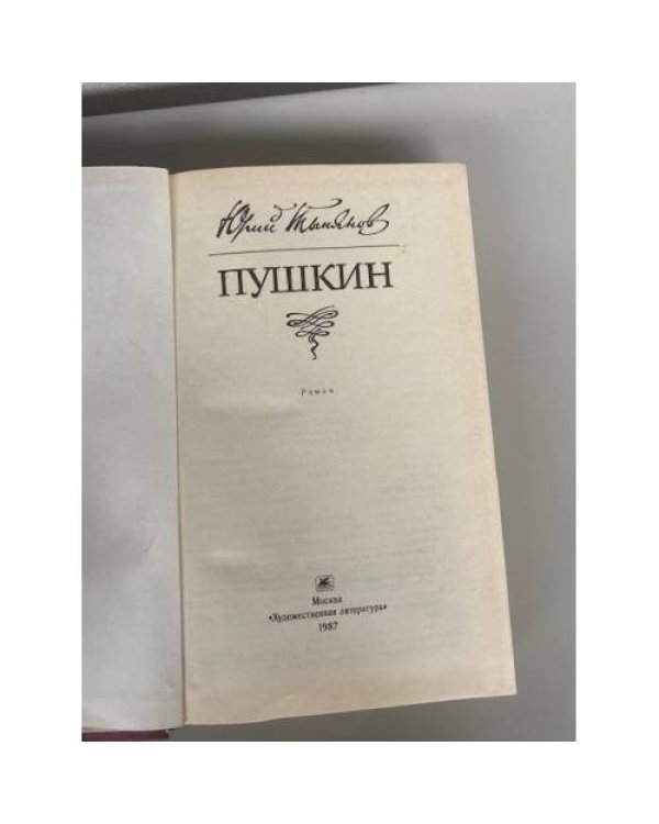 Дополнительное изображение книги «Пушкин »