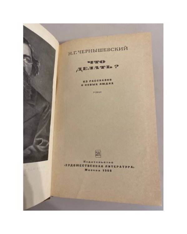 Дополнительное изображение книги «Что делать?»