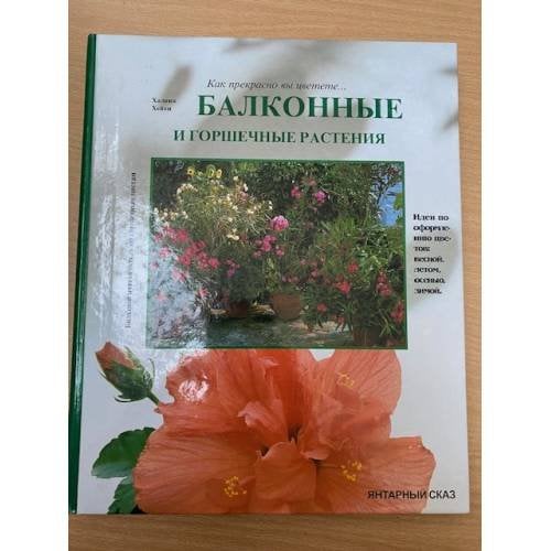 Балконные и горшечные растения