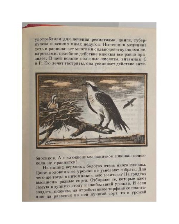 Мы и они