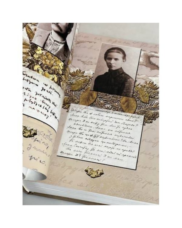 Дополнительное изображение книги «ІНСТИТУТ ЛІТЕРАТУРИ Т.Г. ШЕВЧЕНКА НАН УКРАЇНИ 1926-2001 СТОРІНКИ ІСТОРІЇ»