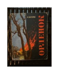 Орленок