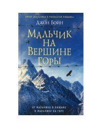 Мальчик на вершине горы роман