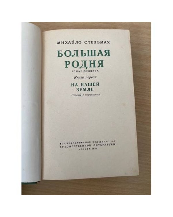 Большая родня. В двух книгах. Книга 1