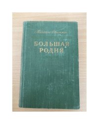 Большая родня. В двух книгах. Книга 1