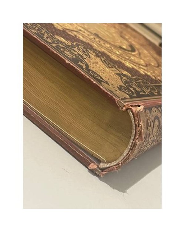 Дополнительное изображение книги «Das Schweizerland. Eine Sommerfahrt durch Gebirg und Thal. In Schilderungen. Mit Bildern von: G. Bauernfeind, A.»