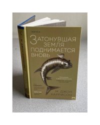 Затонувшая земля поднимается вновь