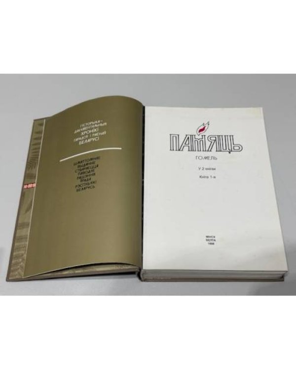 Памяць. Гомель. У 2 кнігах. Кніга 1-я / Память. Гомель. В 2 книгах. Книга 1 