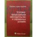 Уголовно-процессуальное законодательство в современных условиях: проблемы теории и практики: сборник статей