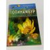 Обложка книги «Топинамбур. Источник полезного сахара» — Л. В. Катренко, ISBN 5885033064