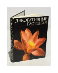 Декоративные растения 