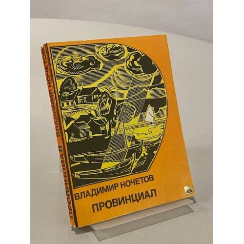 Обложка книги «Провинциал» — Кочетов Владимир Павлович