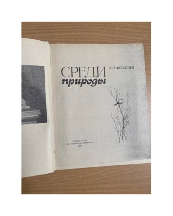 Среди природы
