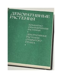 Декоративные растения. Комнатные-оранжерейные растения. Декоративные растения открытого грунта