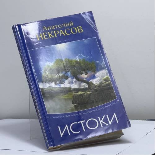 Обложка книги «Истоки» — Анатолий Некрасов, ISBN 9785978700985