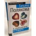 4 любовника и подруга