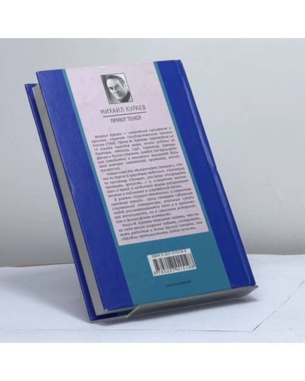 Дополнительное изображение книги «Приют теней»