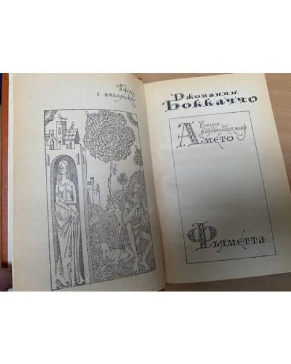 Дополнительное изображение книги «Амето. Фьяметта»