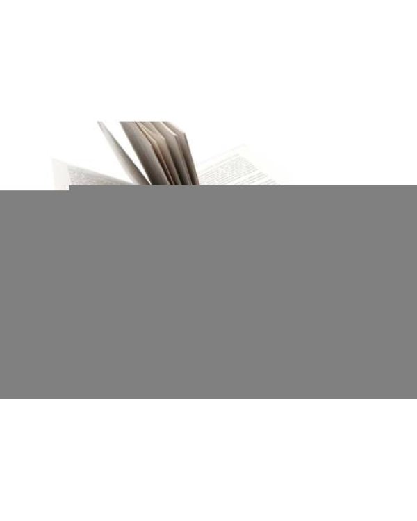 Дополнительное изображение книги «Мара и Морок. Особенная Тень (комплект книга + тетрадь)»