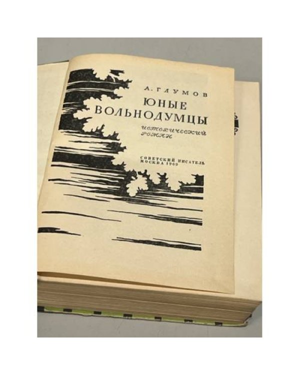Дополнительное изображение книги «Юные вольнодумцы»