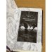 Видений пестрых вереница. Избранная поэзия в английских и французских переводах