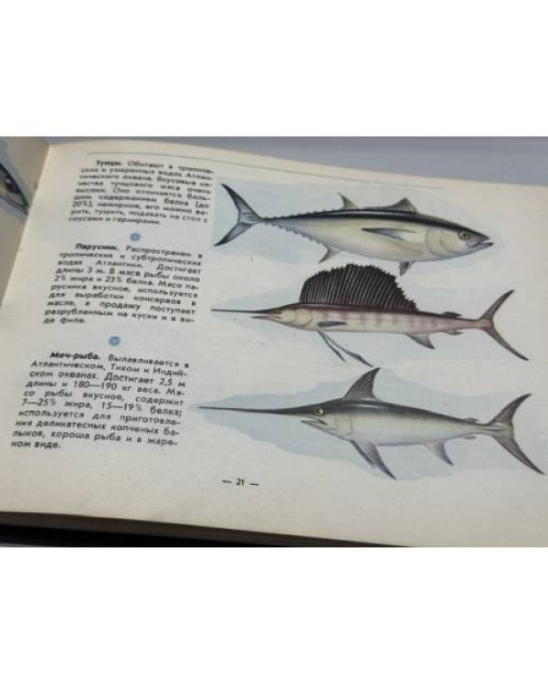 Дополнительное изображение книги «Дары Атлантики»