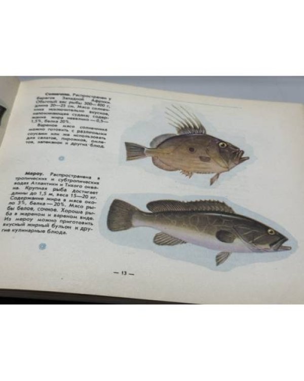 Дополнительное изображение книги «Дары Атлантики»