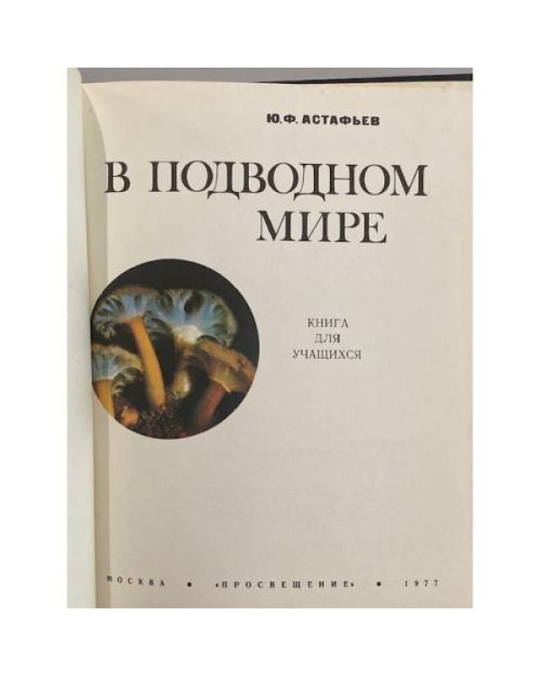 Дополнительное изображение книги «В подводном мире»