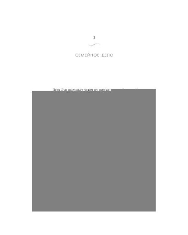 Дополнительное изображение книги «Вид с озера Комо»