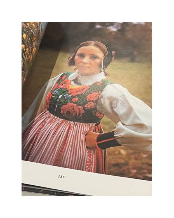 Дополнительное изображение книги «Daina Lietuvai»