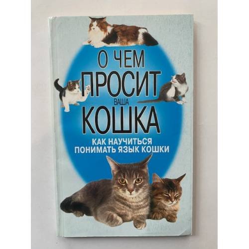 О чем просит ваша кошка