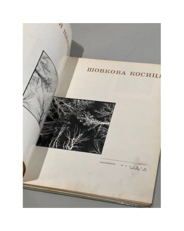 Дополнительное изображение книги «Шовкова косиця. Шелковый цветок. Фотоальбом»