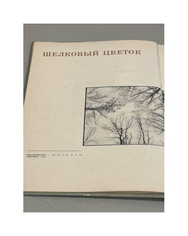 Дополнительное изображение книги «Шовкова косиця. Шелковый цветок. Фотоальбом»