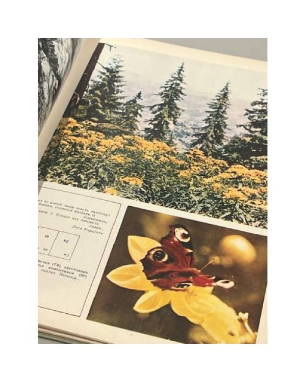 Дополнительное изображение книги «Шовкова косиця. Шелковый цветок. Фотоальбом»