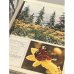 Дополнительное изображение книги «Шовкова косиця. Шелковый цветок. Фотоальбом»