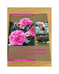 Декоративные деревья и кустарники