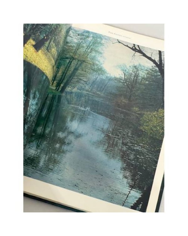 Дополнительное изображение книги «Елагин остров»