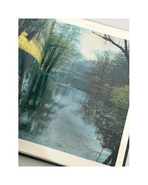 Дополнительное изображение книги «Елагин остров»