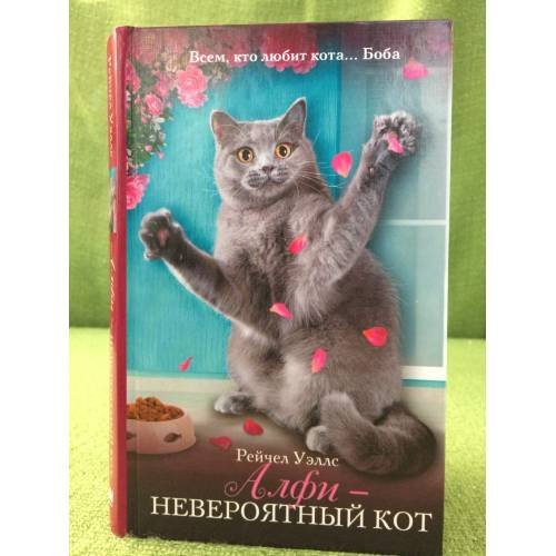 Алфи — невероятный кот : роман