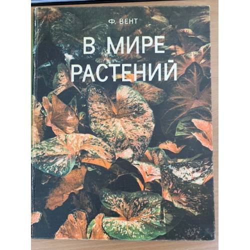 В мире растений