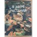 В мире растений